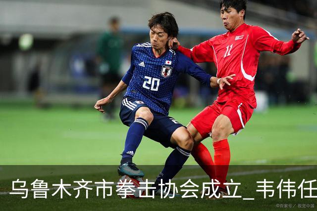 乌鲁木齐市拳击协会成立 韦伟任会长